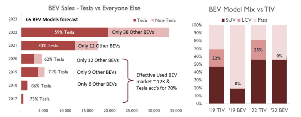 BEV model mix - Tesla v the world